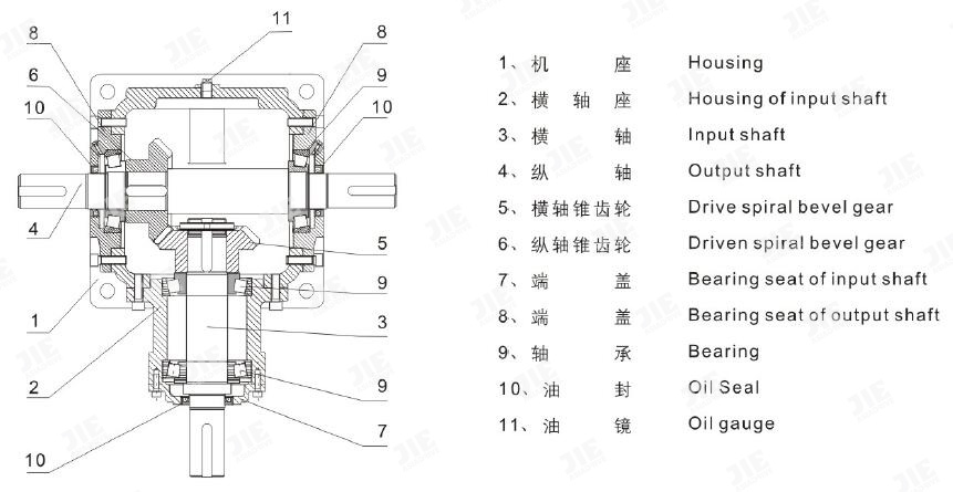 UG环球|官方网站